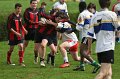 Schools tournament at Monaghan Rugby Club. April 15th 2011 (19)